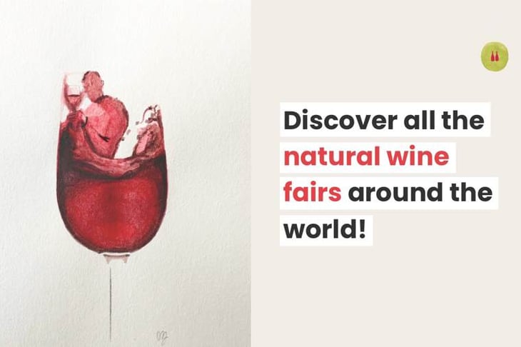 Natural Wine Fairs