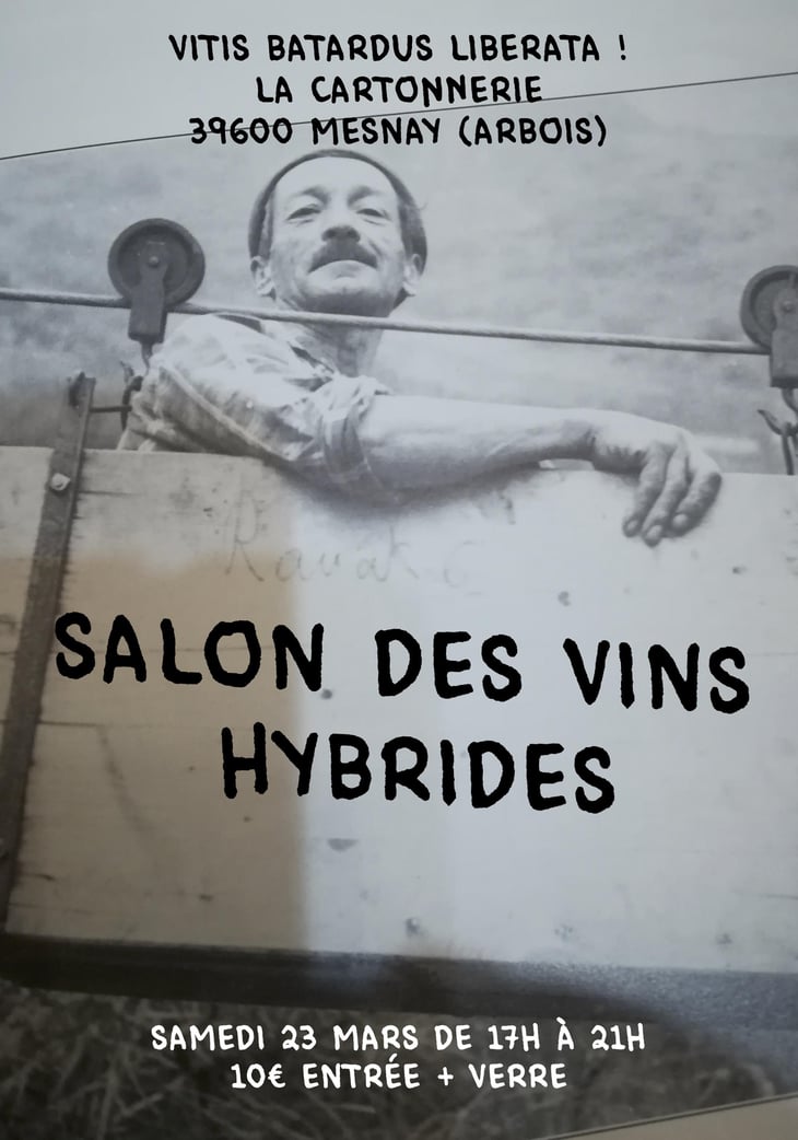 Vitis Batardus Liberata