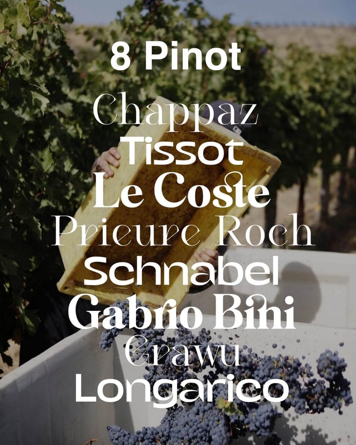 Apritutto 8 Pinot
