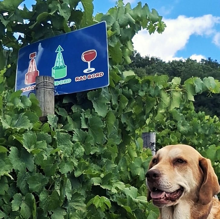 Assistant.e caviste (H/F) - Domaine Alexis de Benoist