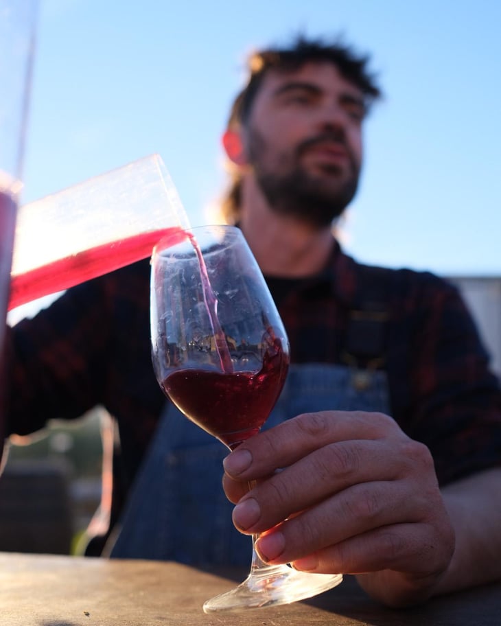 Beaujolais Nouveau X Speedking