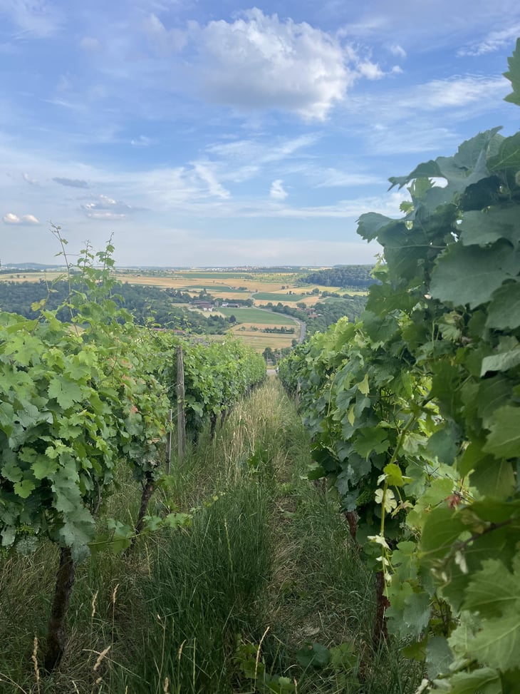 Harvest in September