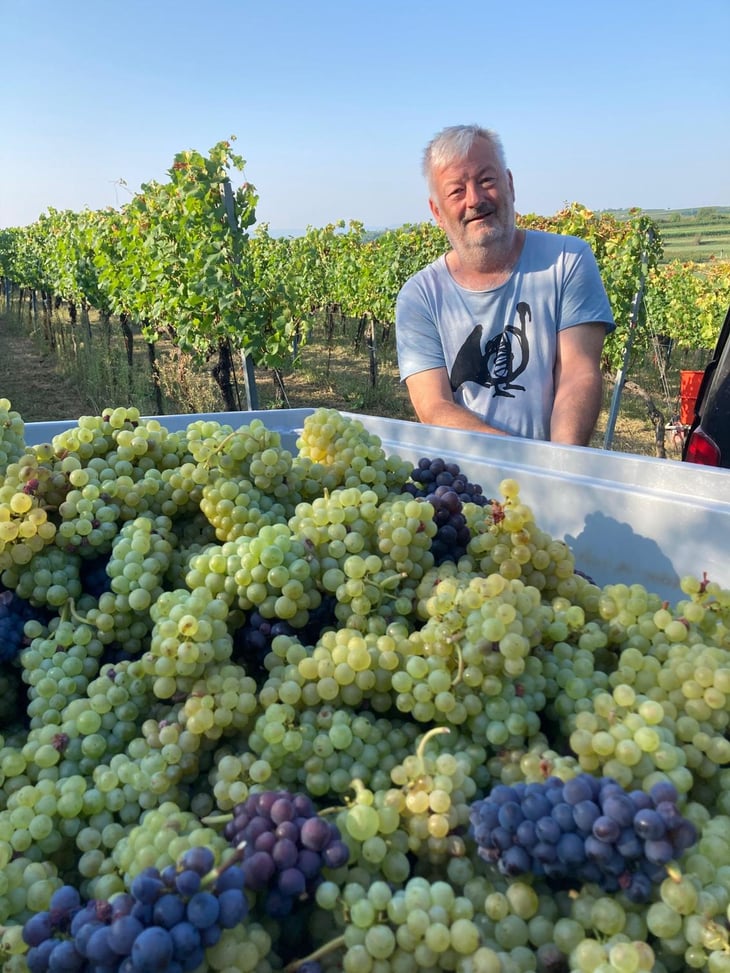 Vendanges 2026