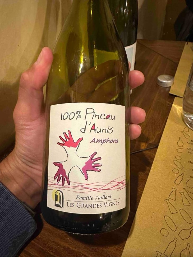 100% Pineau d'Aunis - Les Grandes Vignes - Laurence, Dominique & Jean-François Vaillant 