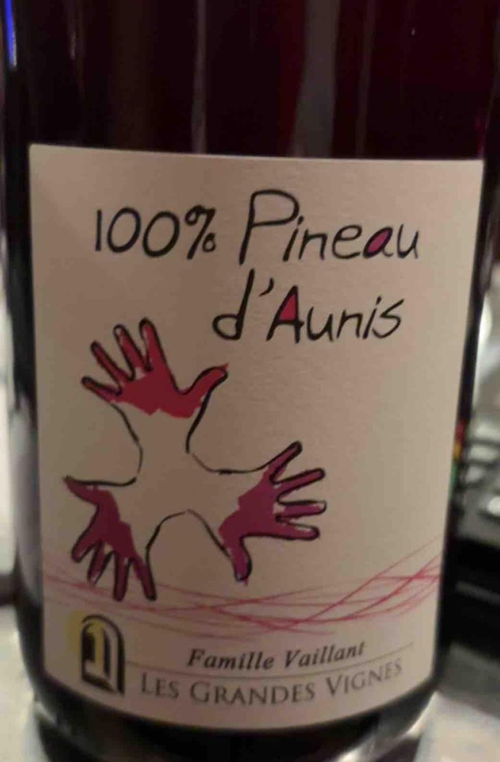 100% Pineau d'Aunis - Les Grandes Vignes - Laurence, Dominique & Jean-François Vaillant 