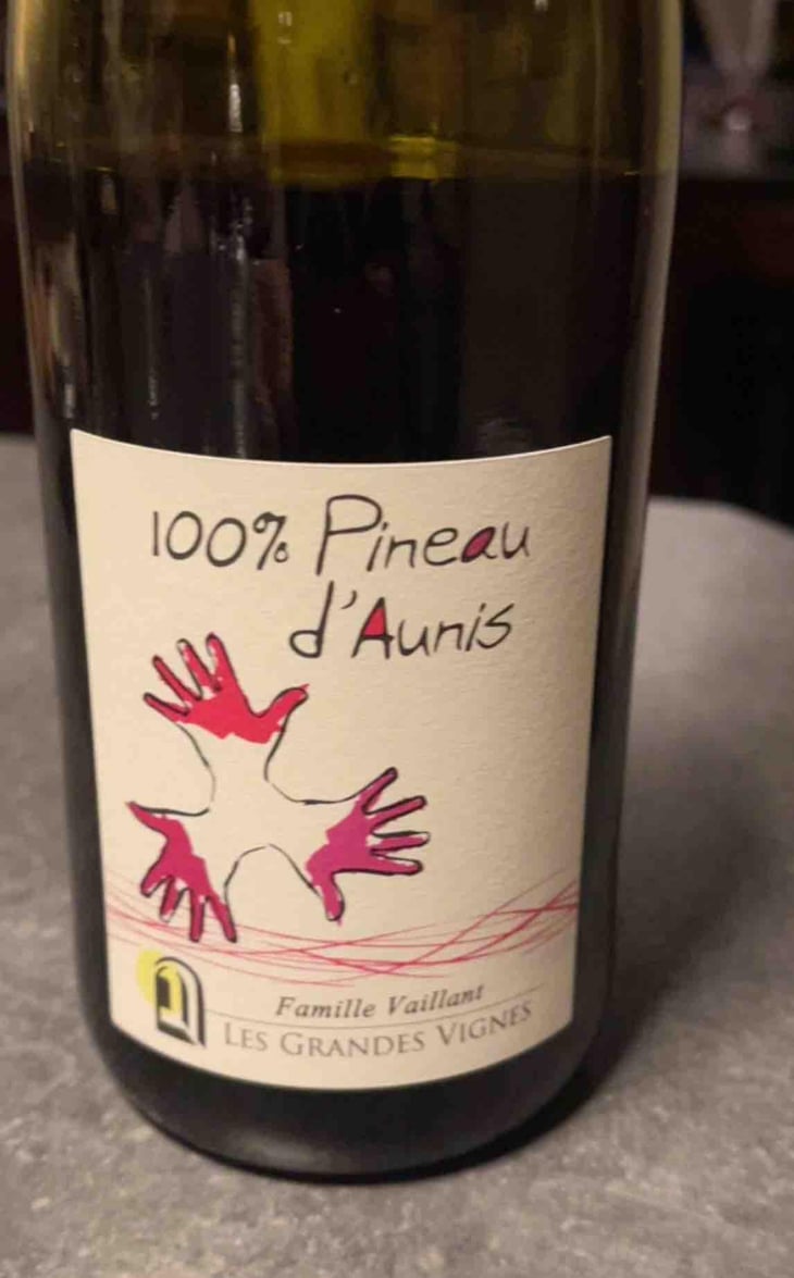 100% Pineau d'Aunis - Les Grandes Vignes - Laurence, Dominique & Jean-François Vaillant 