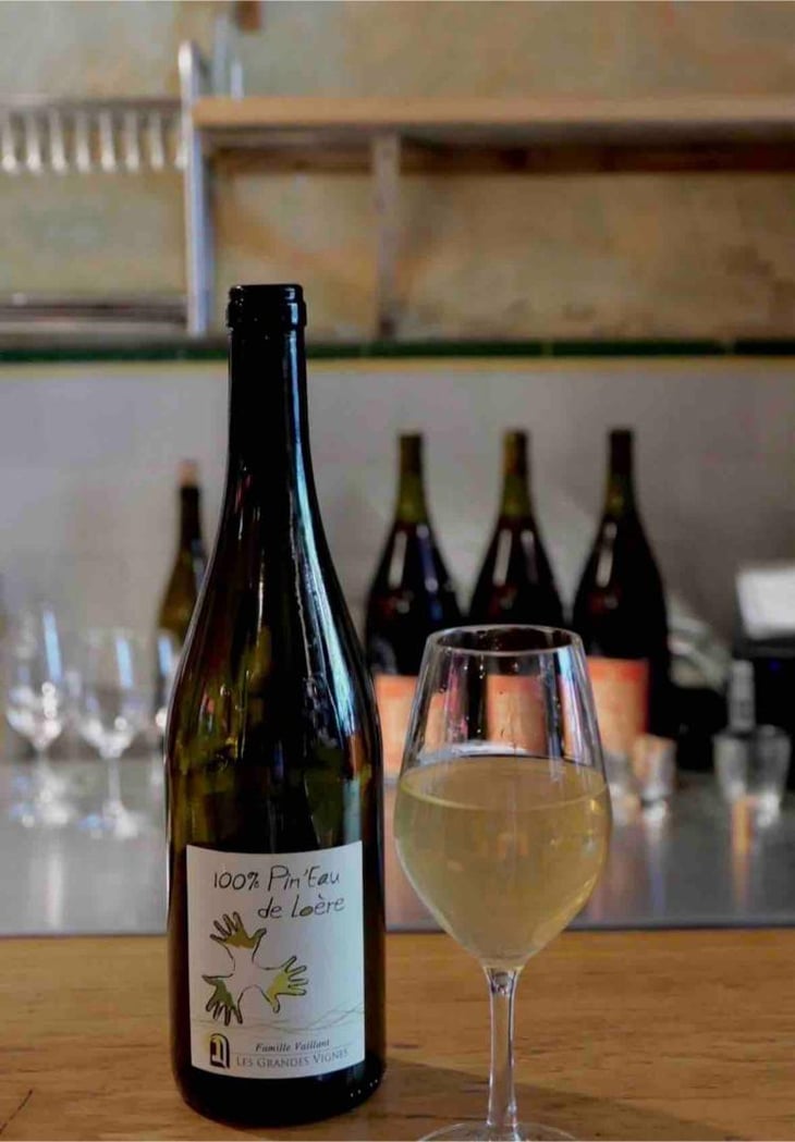 100% Pin'Eau de Loère - Les Grandes Vignes - Laurence, Dominique & Jean-François Vaillant 