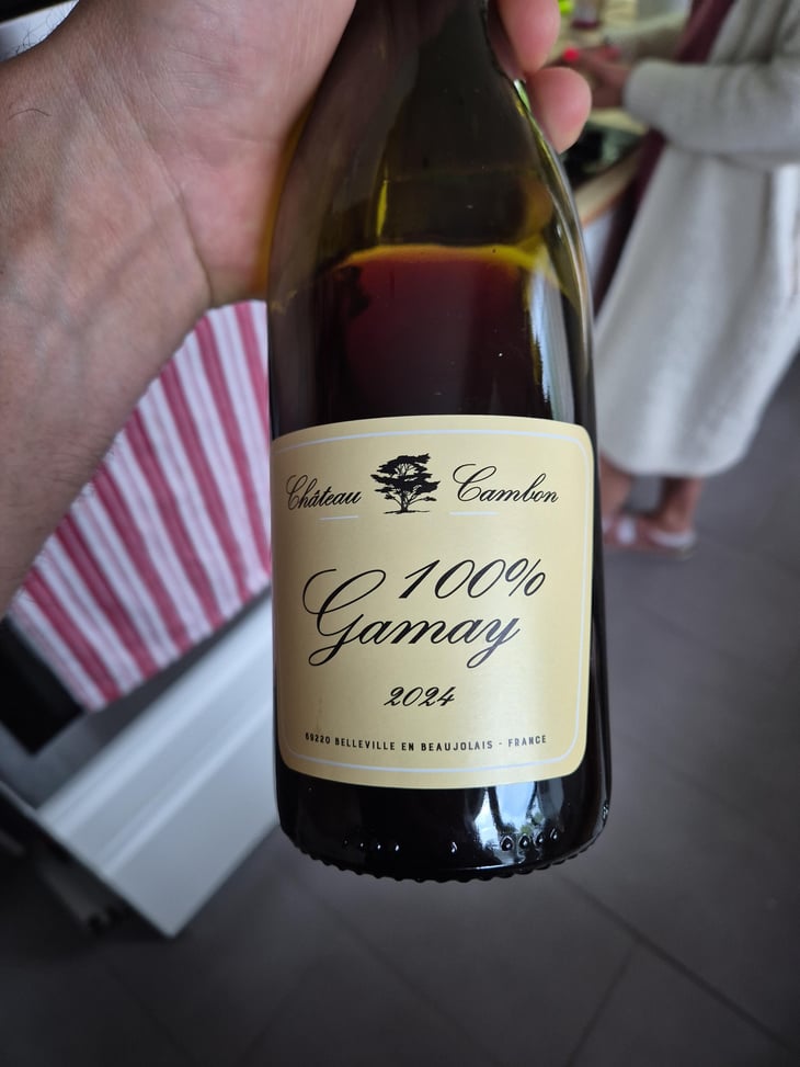 100% gamay - Château Cambon - Alexandre Iwasuila, Marie Lapierre & Jean-Claude Chanudet 