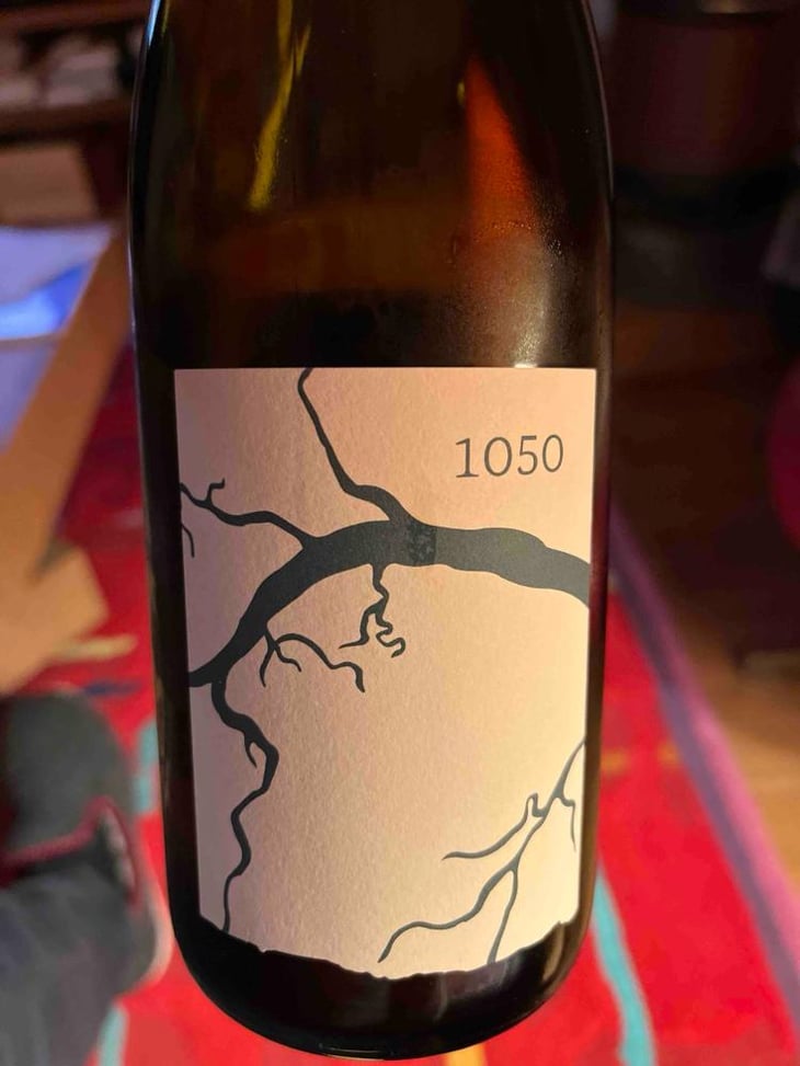 1050 - La vigne et l’abeille - Loïc Fourure -2024