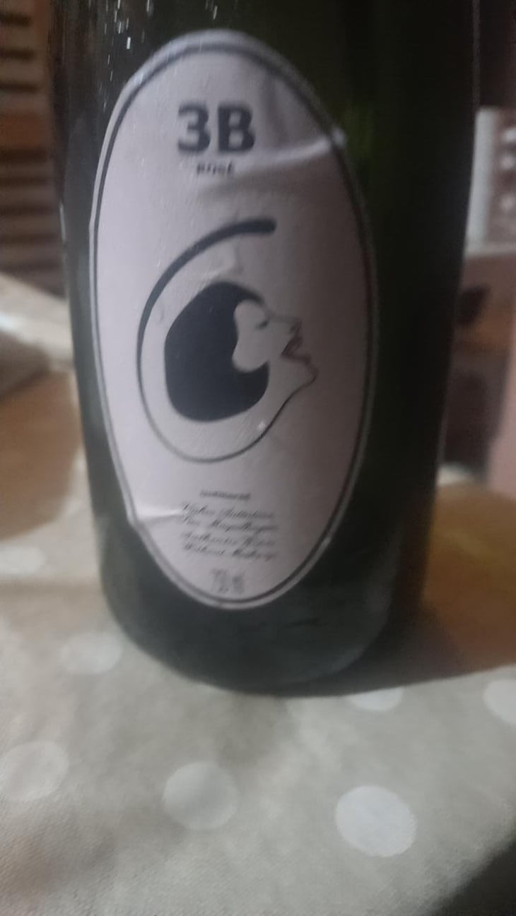 3B Brut Nature Blanc de Blancs - Filipa Pato - Filipa Pato & William Wouters 