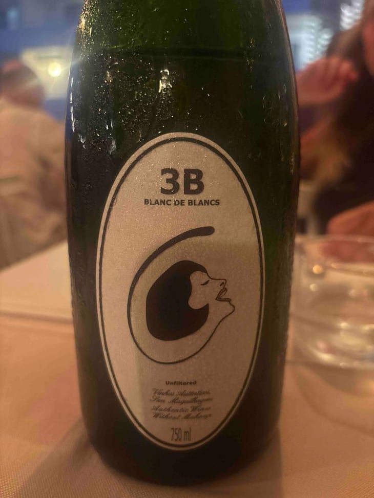 3B Brut Nature Blanc de Blancs - Filipa Pato - Filipa Pato & William Wouters 
