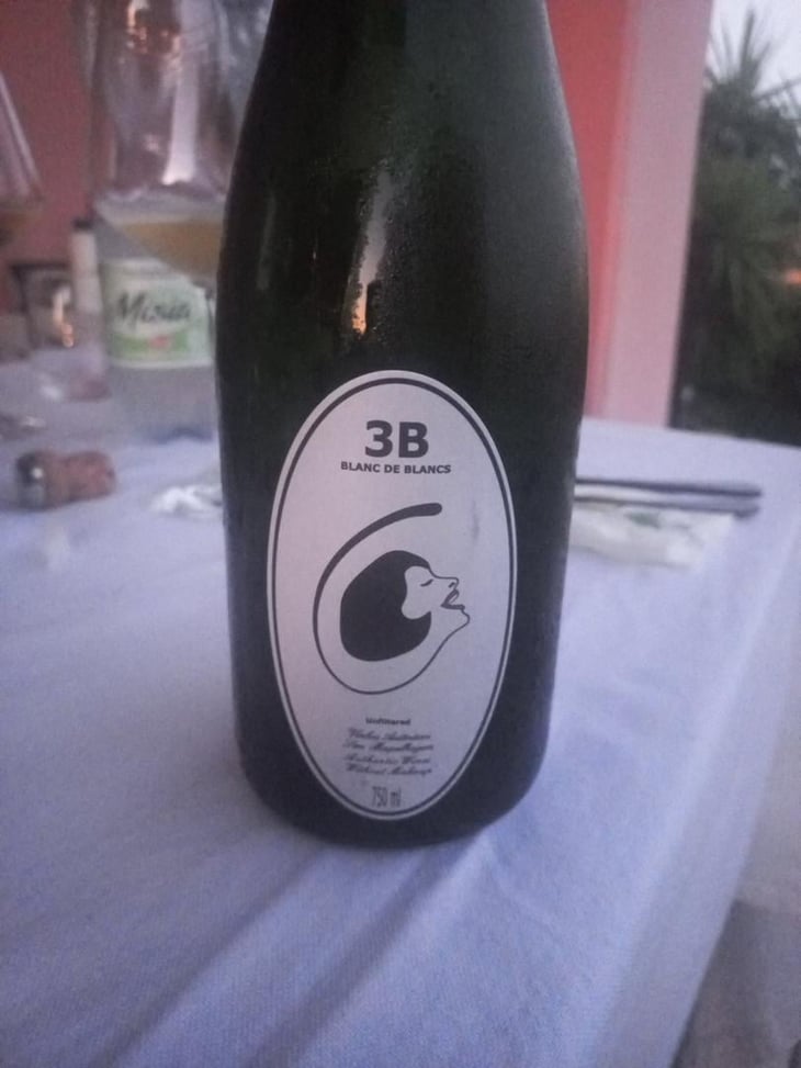 3B Brut Nature Blanc de Blancs - Filipa Pato - Filipa Pato & William Wouters 