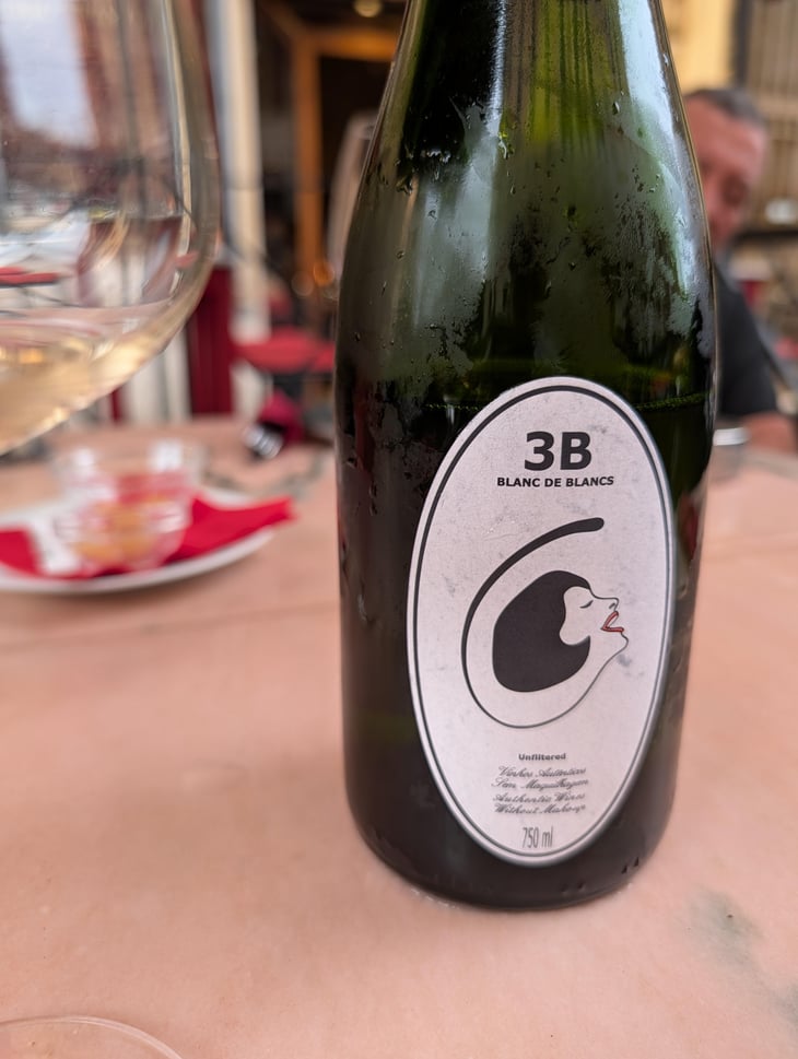 3B Brut Nature Blanc de Blancs - Filipa Pato - Filipa Pato & William Wouters 
