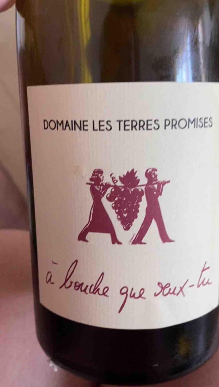 A bouche que veux tu - Les Terres Promises - Jean-Christophe Comor -2024