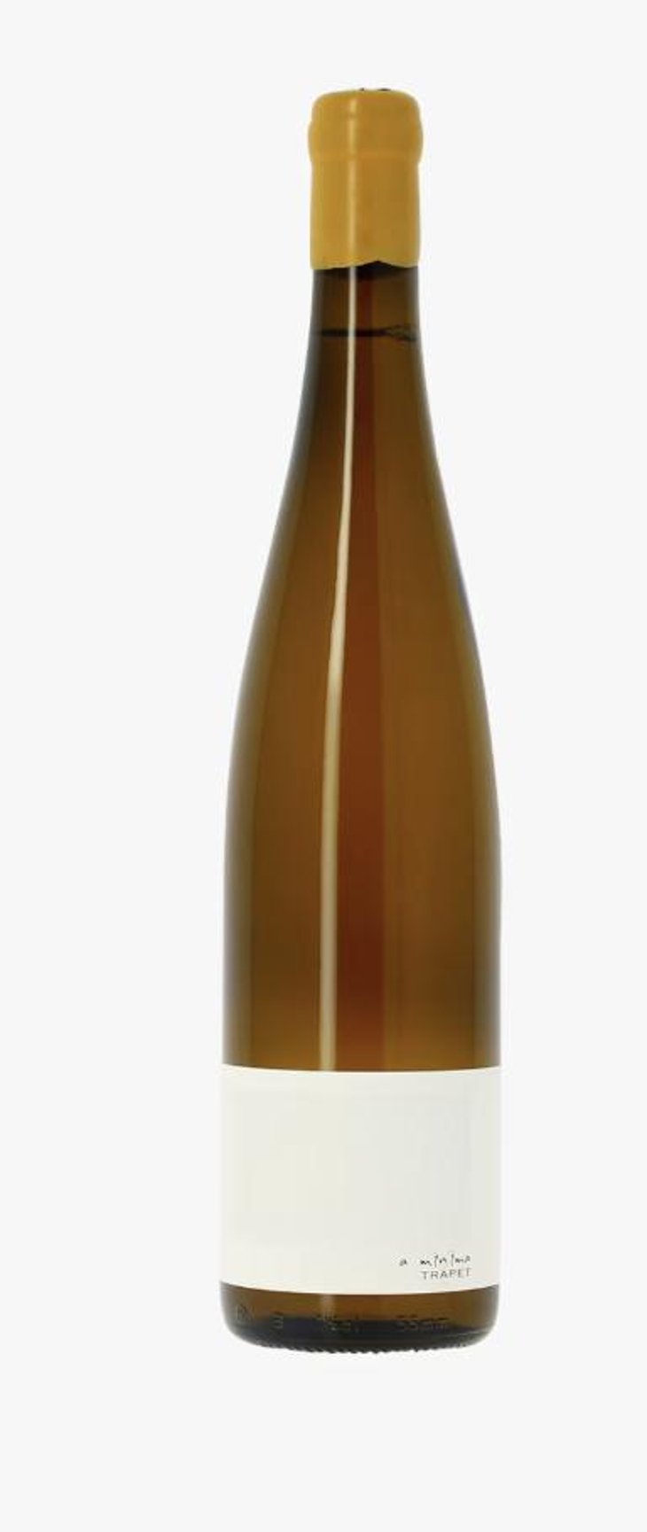 À Minima (Blanc) - Domaine Jean Trapet Père et Fils - Jean-Louis Trapet 