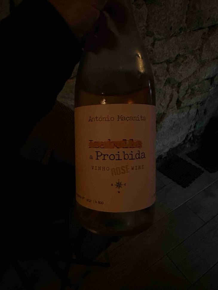 A Proibida - António Maçanita - António Maçanita -2023