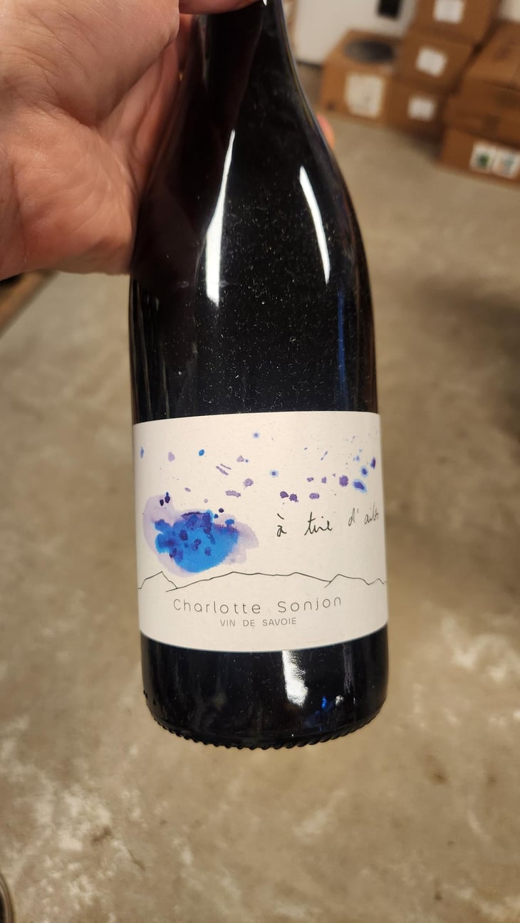 A tiré d’ailes - Charlotte Sonjon - Charlotte Sonjon -2023