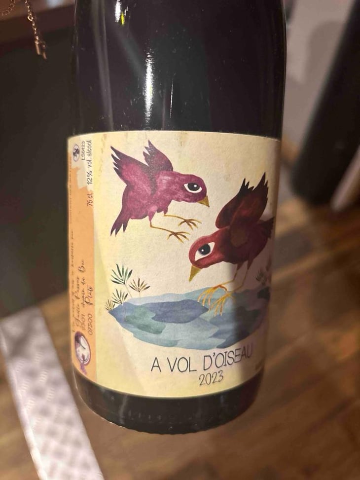A vol d'Oiseau - Gaëlle Passas - Gaëlle Passas 