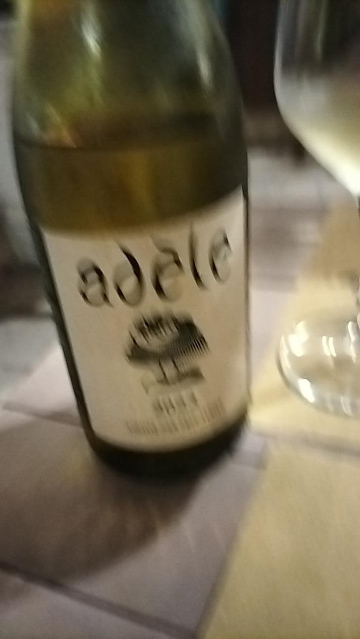 Adèle - Domaine Eric Texier - Laurence et Eric Texier 
