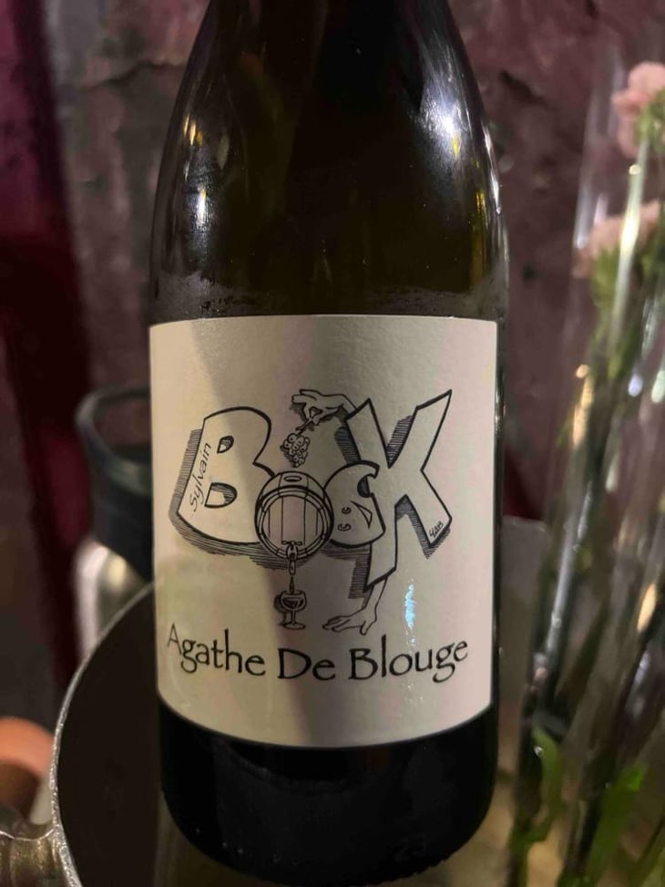 Agathe de blouge - Sylvain Bock - Sylvain Bock -2023