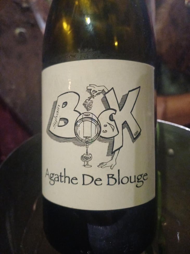 Agathe de blouge - Sylvain Bock - Sylvain Bock -2023