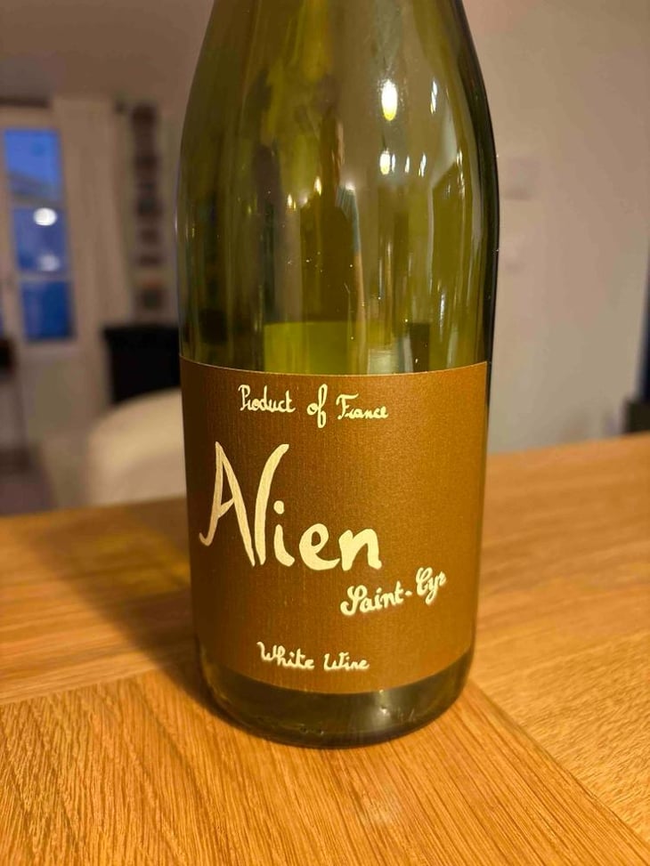 Alien - Domaine Saint-Cyr - Raphaël Saint-Cyr 
