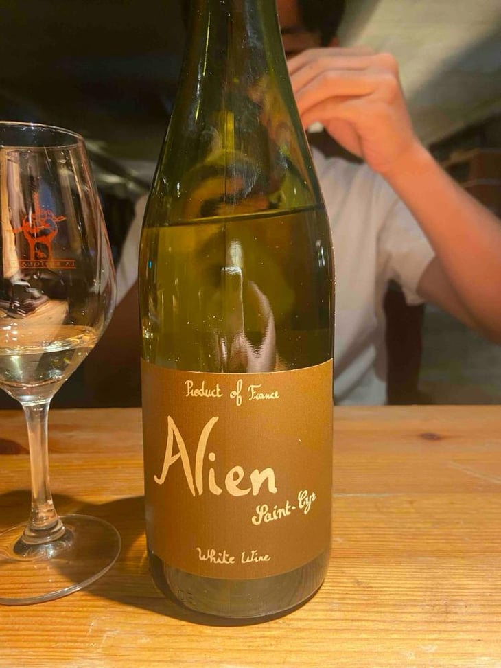 Alien - Domaine Saint-Cyr - Raphaël Saint-Cyr 