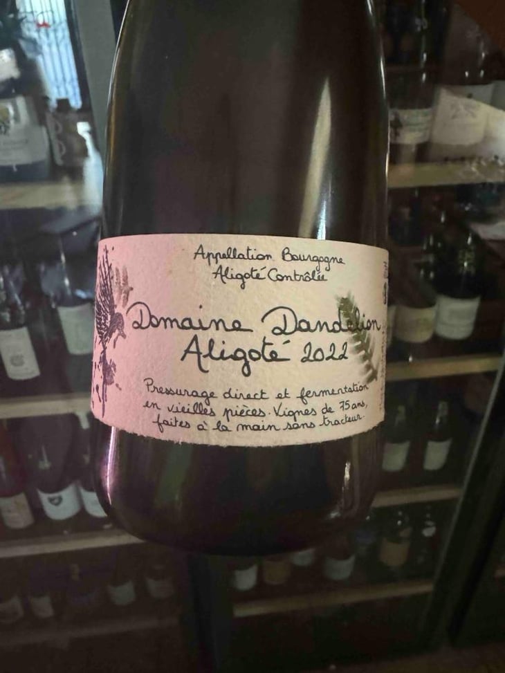Aligotè - Domaine Dandelion - Morgane Seuillot & Christian Knott -2022