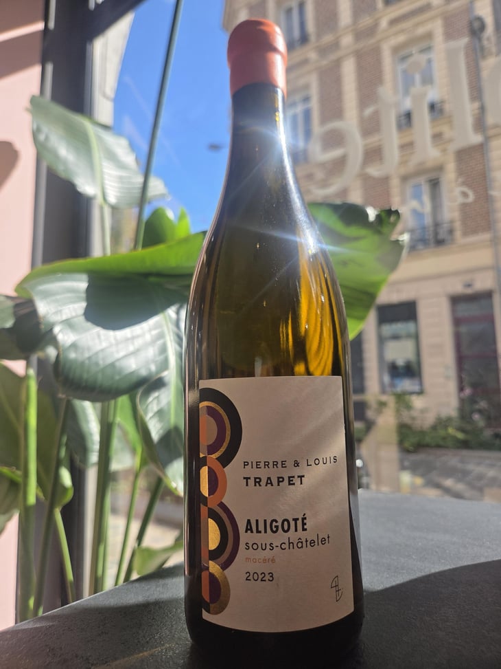 Aligoté sous-chatelet macéré - Trapet - Pierre et Louis Trapet 