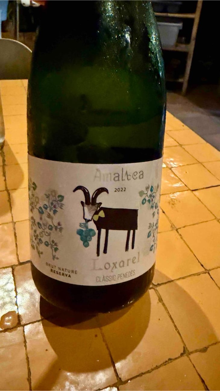 Almatea - Loxarel - Josep Mitjans 