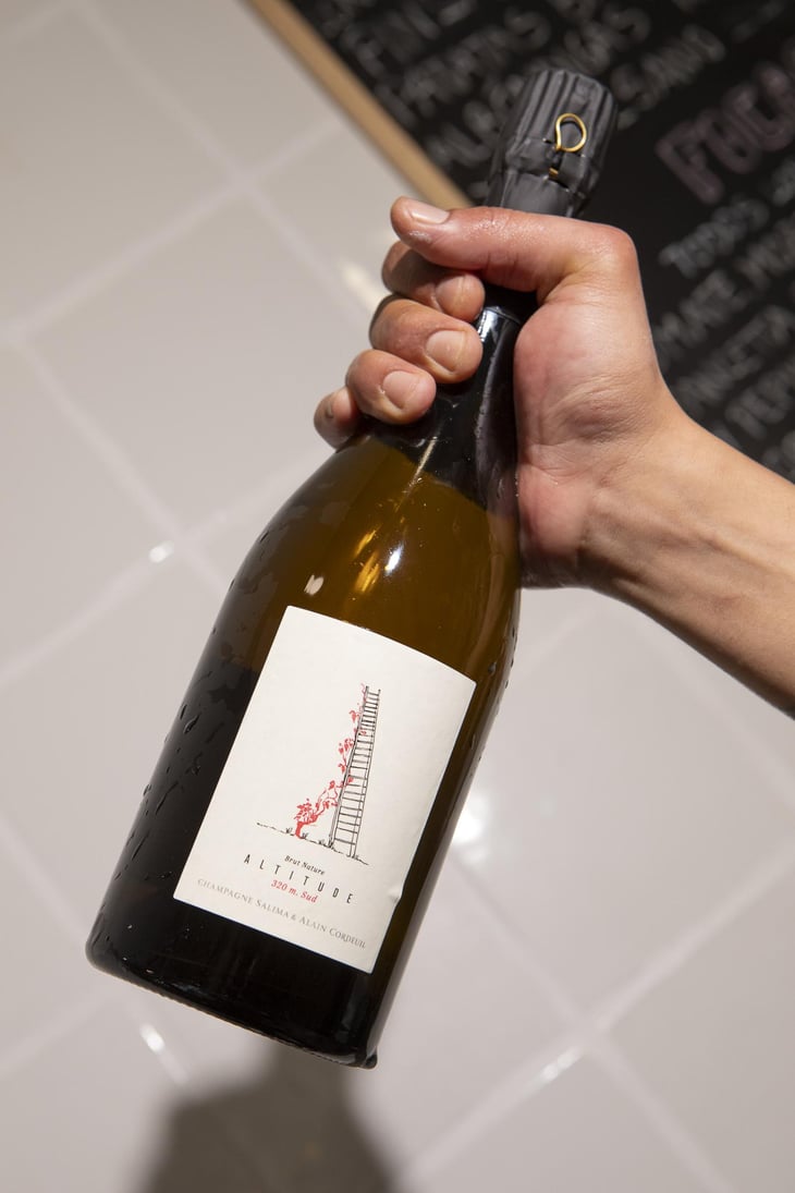 Altitude 350 m - Domaine Salima et Alain Cordeuil - Salima & Alain Cordeuil 