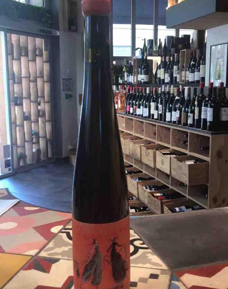 Amazones - Domaine Les 4 Vents - Lucie et Nancy Fourel 