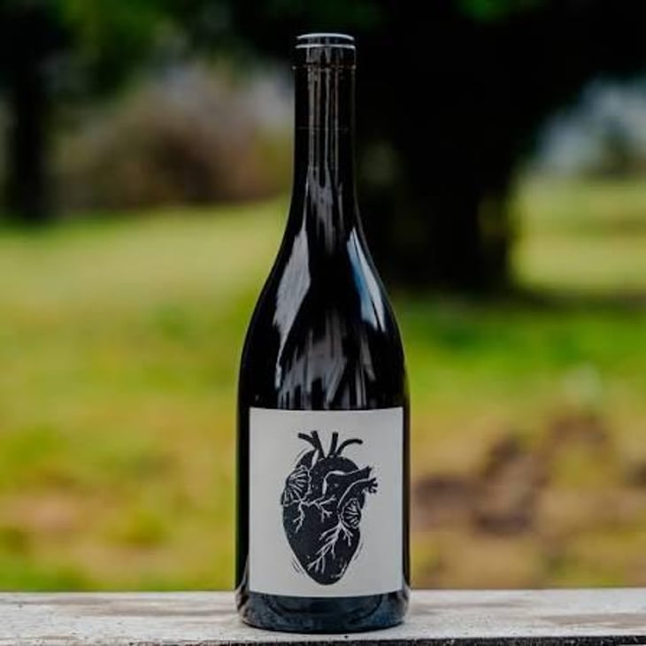 Amour Vache - Vin Noé - Jonathan Purcell 