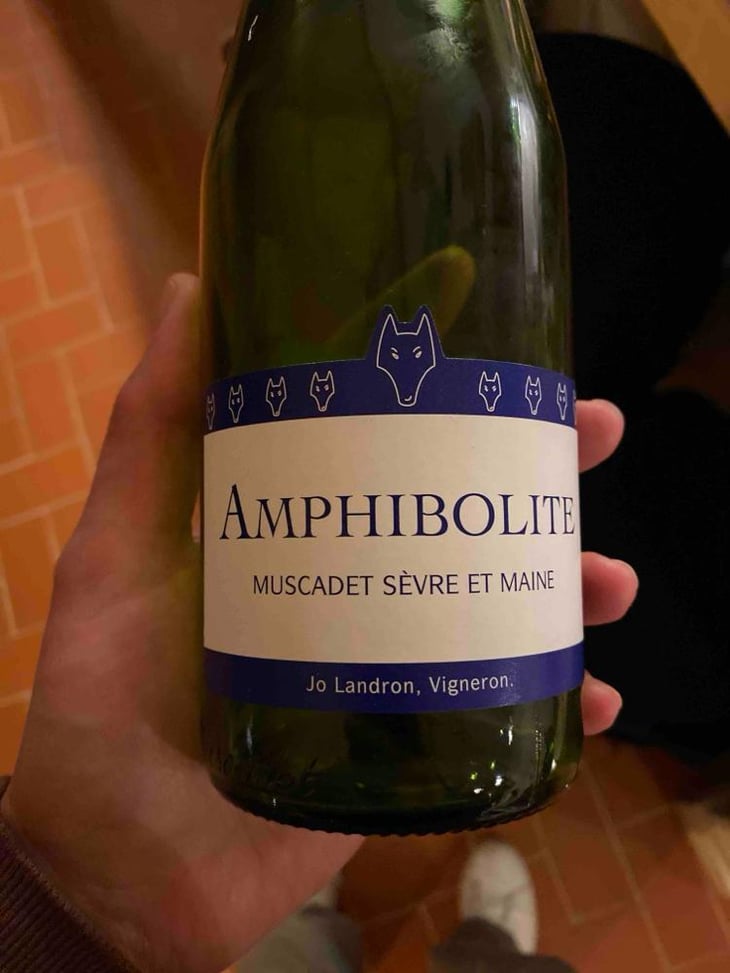 Amphibolite - Domaine Jo Landron - Jo Landron 