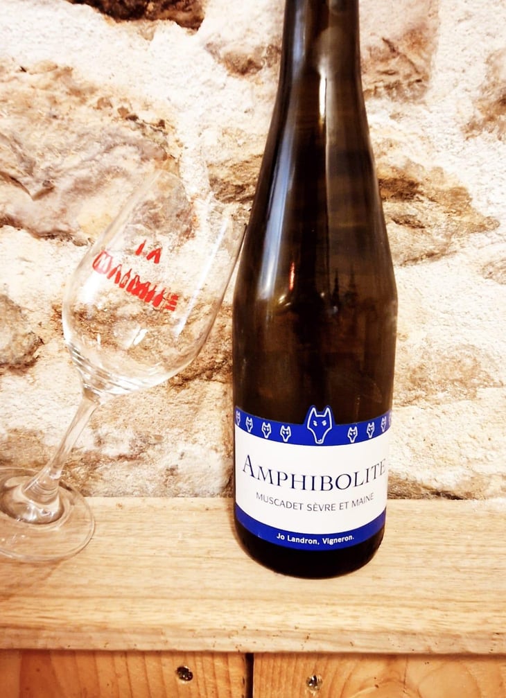 Amphibolite - Domaine Jo Landron - Jo Landron 