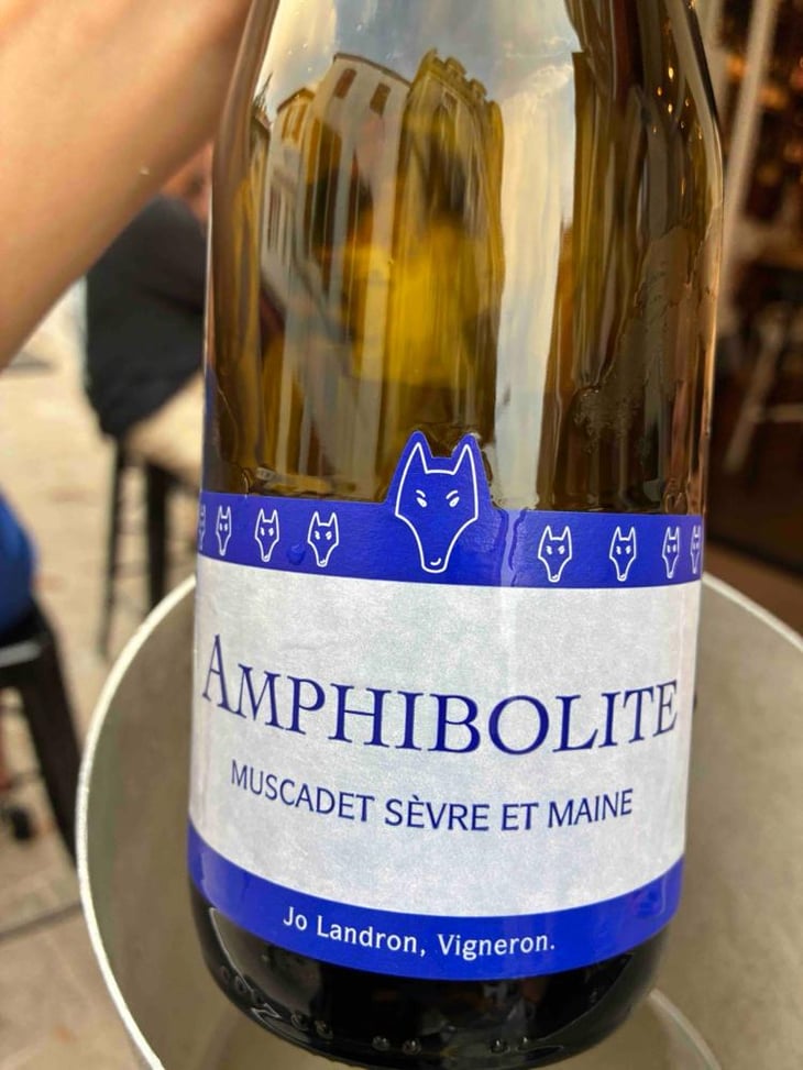 Amphibolite Nature - Domaine Jo Landron - Jo Landron 