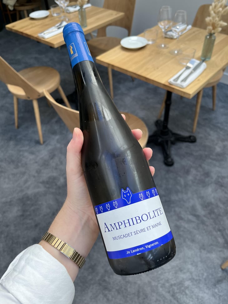 Amphibolite - Domaine Jo Landron - Jo Landron 