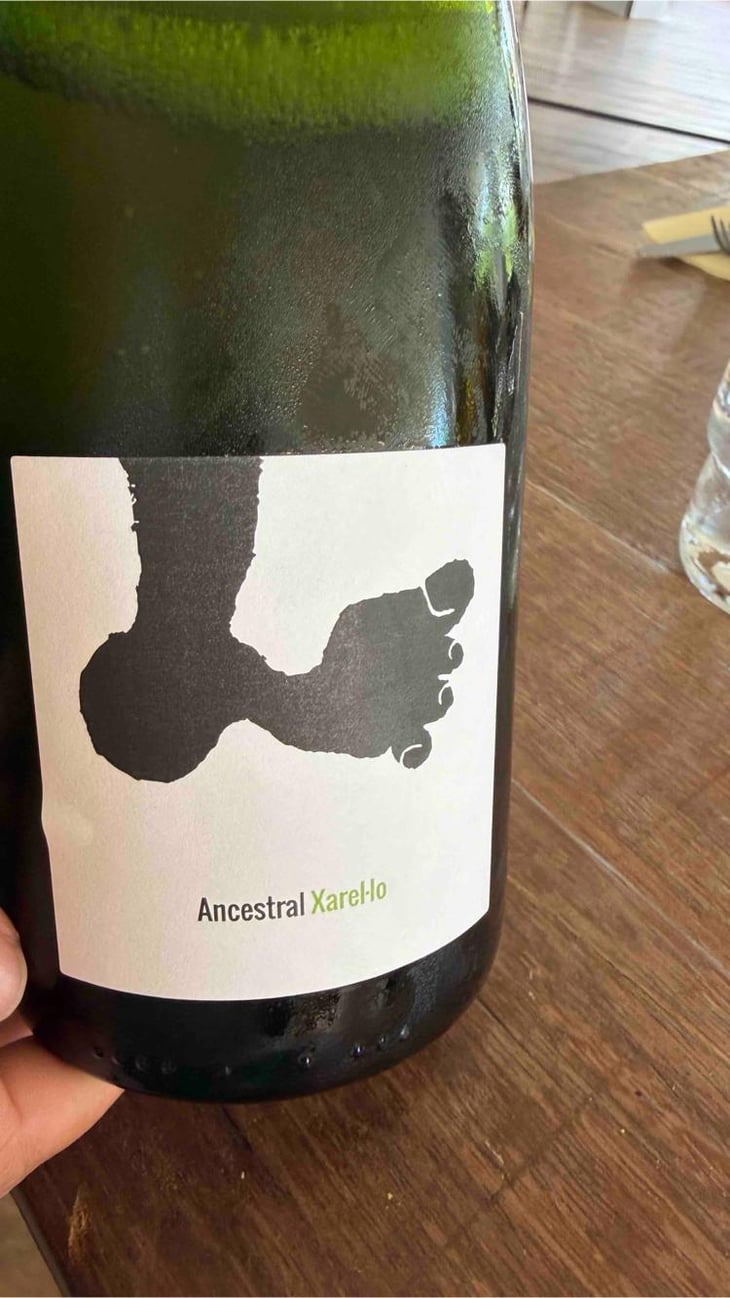 Ancestral Xarel-lo - Celler Cal Tiques - Joan Rubio 