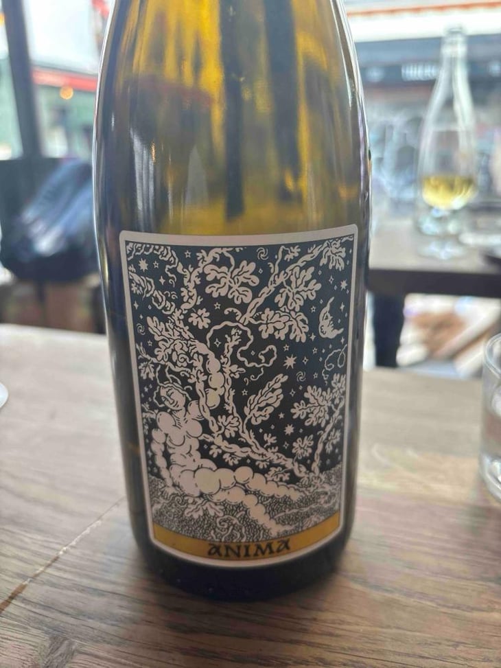 Anima - Domaine Frédéric Mabileau - Rémy Mabileau -2023