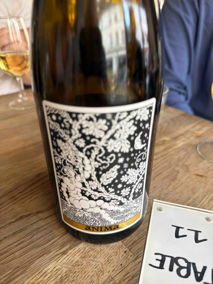 Anima - Domaine Frédéric Mabileau - Rémy Mabileau -2023