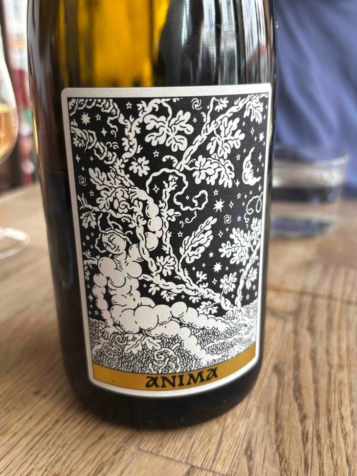 Anima - Domaine Frédéric Mabileau - Rémy Mabileau -2023