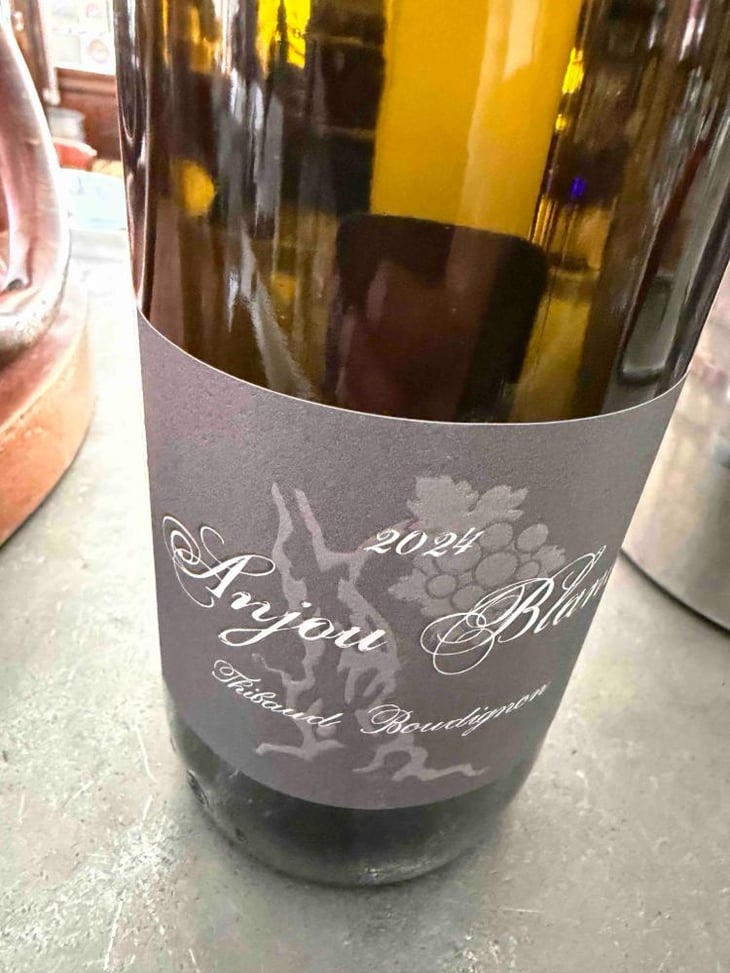 Anjou Blanc - Thibaud Boudignon - Thibaud Boudignon 