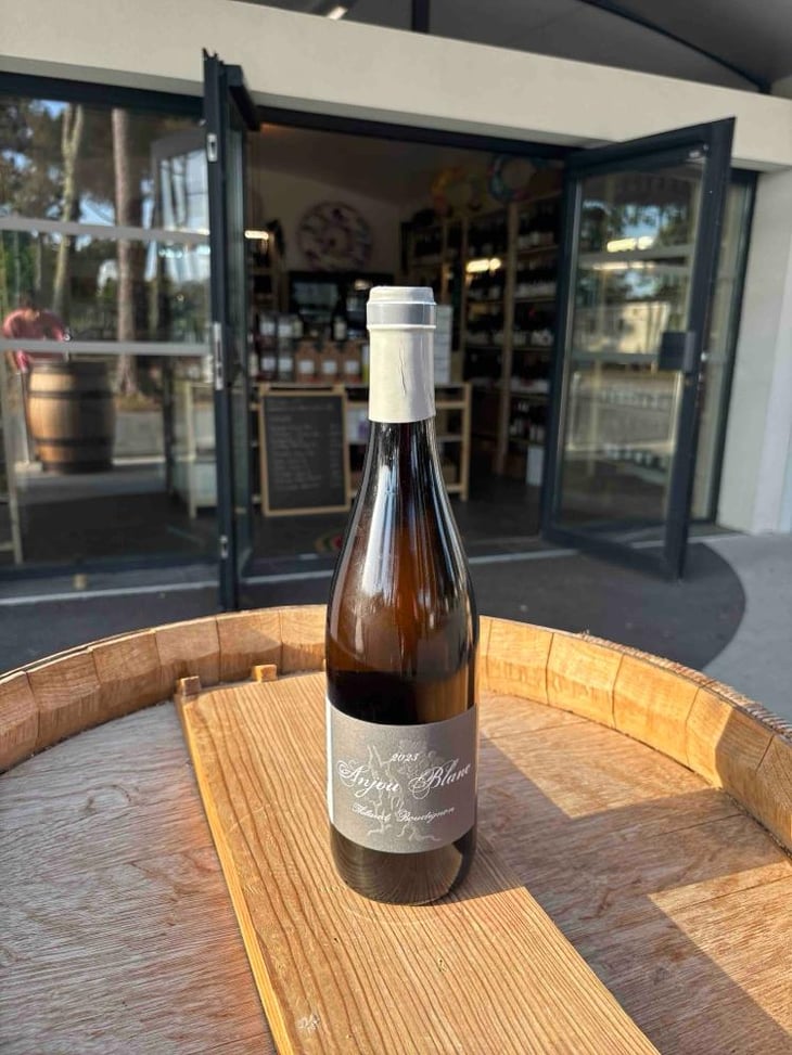Anjou Blanc - Thibaud Boudignon - Thibaud Boudignon 