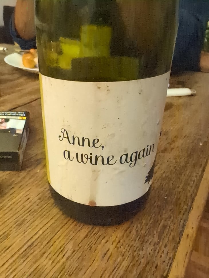 Anne, a wine again - Autour de l'Anne - Anne Leclerc Paillet 