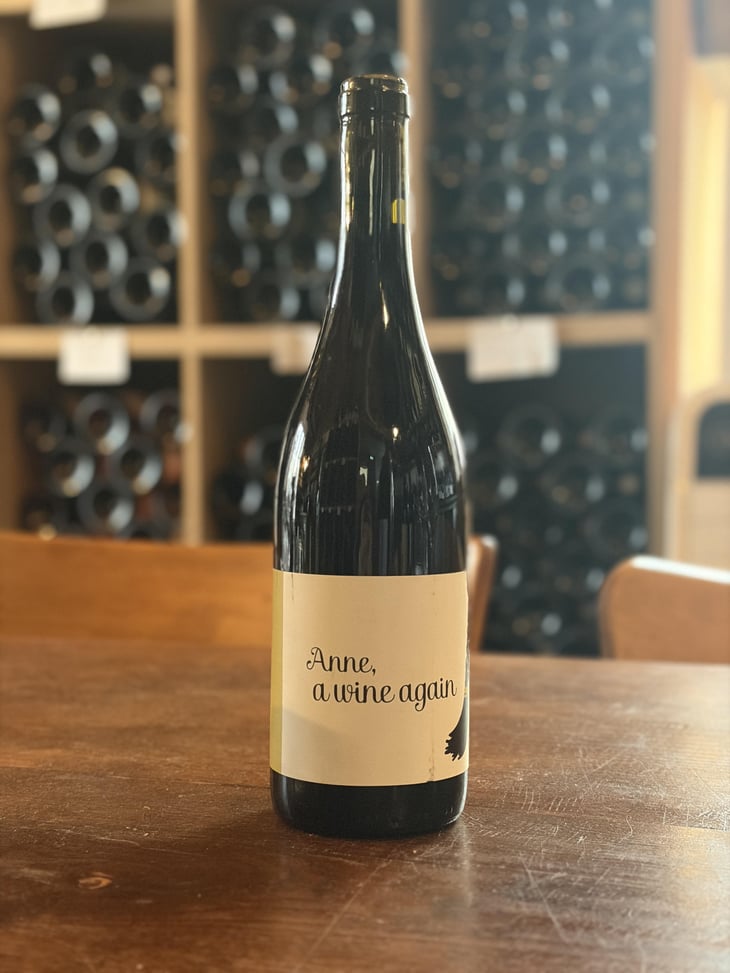 Anne, a wine again - Autour de l'Anne - Anne Leclerc Paillet 