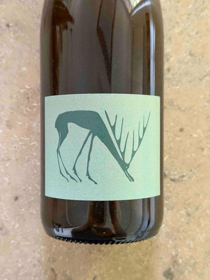 Annolium Blanc - Domaine Des Trouillères - Camille & Mikael Hyvert -2021