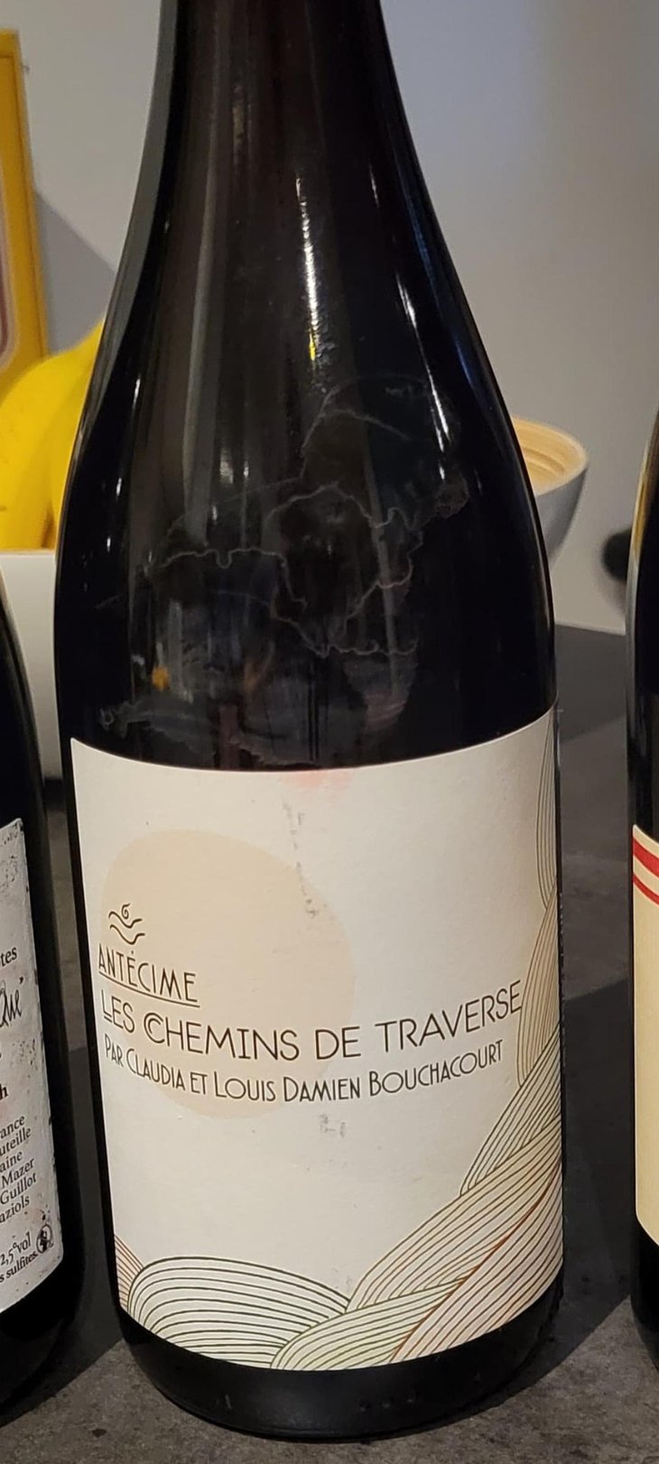 Antecime - Les Chemins de Traverse - Louis-Damien et Claudia Bouchacourt -2020