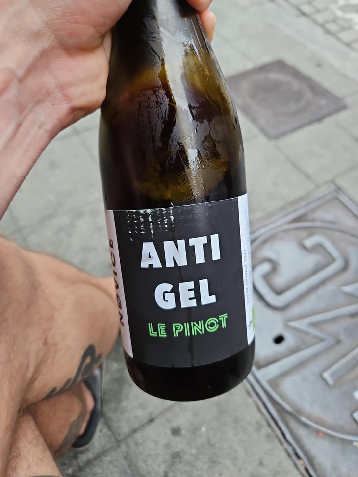 Anti Gel - NoVice - Yves Roy -2024