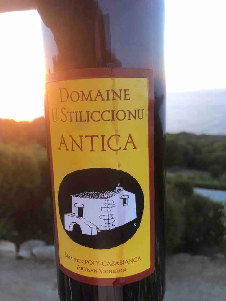 Antica - Domaine U Stiliccionu - Sébastien Poly-Casablanca 