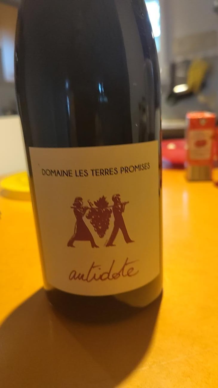 Antidote - Les Terres Promises - Jean-Christophe Comor 